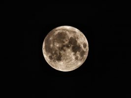 cpp-port-fave-super-blue-moon