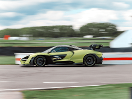 motorsport_-_gw-saywell-24_-_mclaren-senna